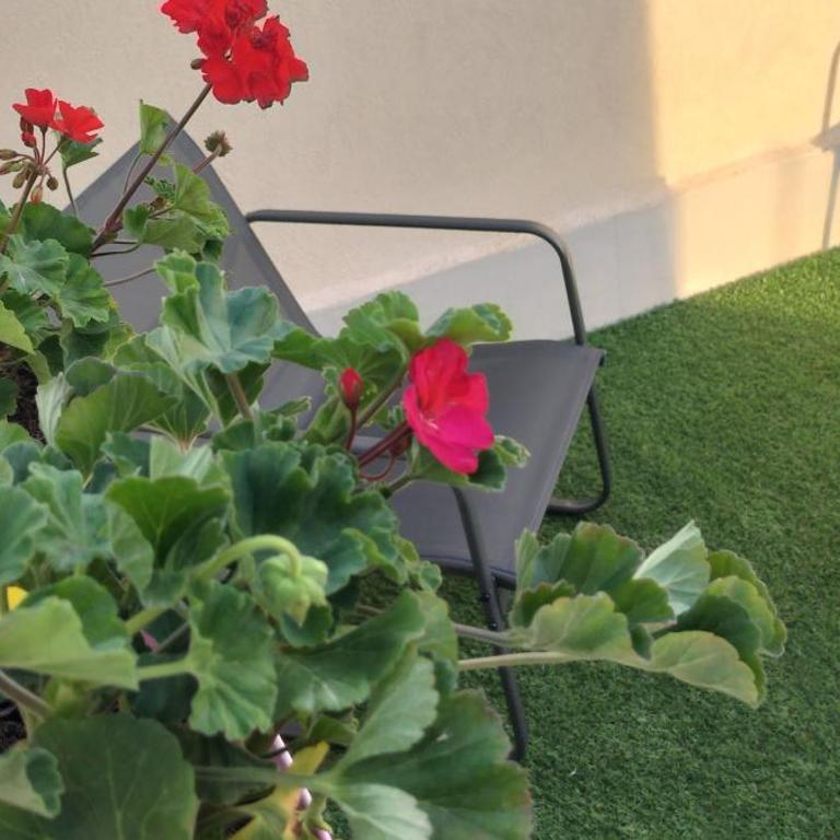 Perla marina - Appartamento con 2 Camere da Letto e Terrazza - 7