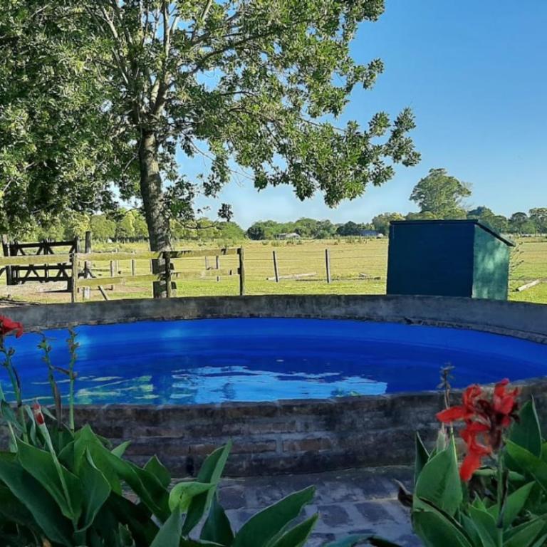 CasaQeja - Cabaña La Angelita - Casa con 1 dormitorio - 22