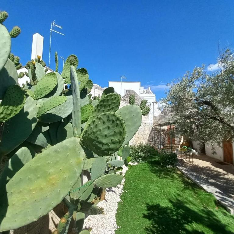 Trullo Vacanza - Casa Vacanze - 3