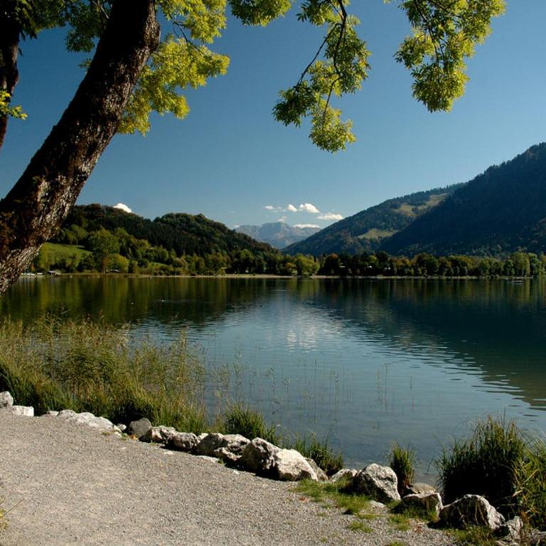 Aparte 3-Zi-Wohnung im Oberallgäu direkt am Berg! - Apartment mit 2 Schlafzimmern - 38