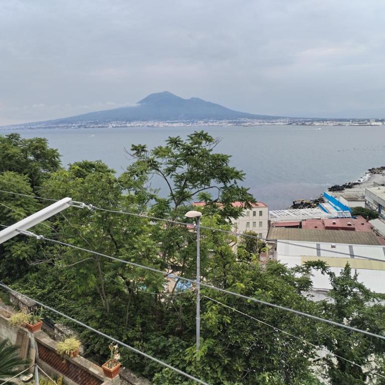 La dimora sul mare - Appartamento con 1 Camera da Letto - 4