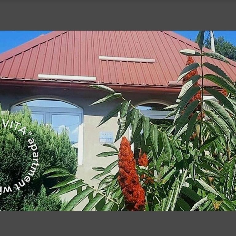 Apartman Bella Vita - Apartman sa 1 Spavaćom Sobom - 12
