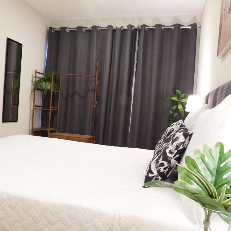 Singular Reforma - Double Room with Shared Bathroom - 2