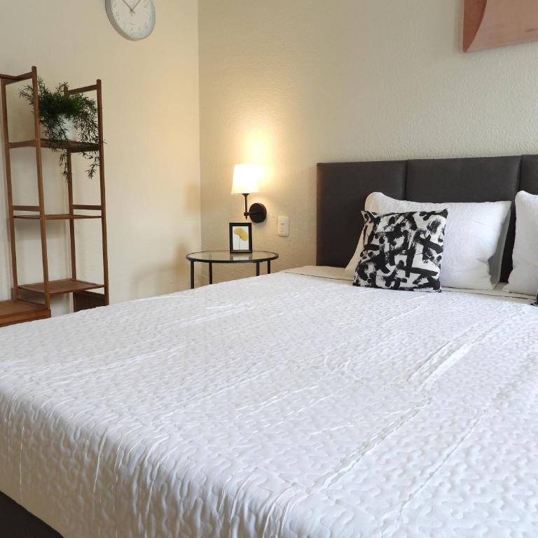 Singular Reforma - King Room with Private External Bathroom - 9