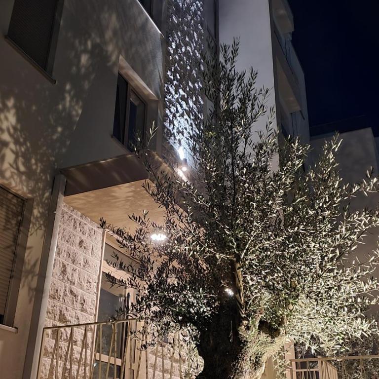 Bella Vista Residence D7 - One-Bedroom Apartment - 1