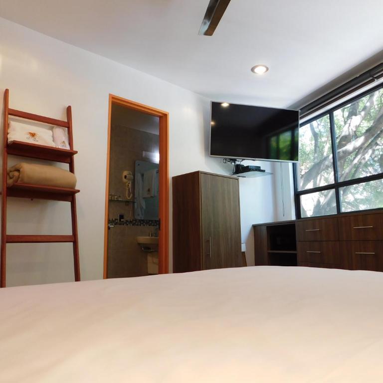 Suites del Valle - Suite con cama extragrande - 15