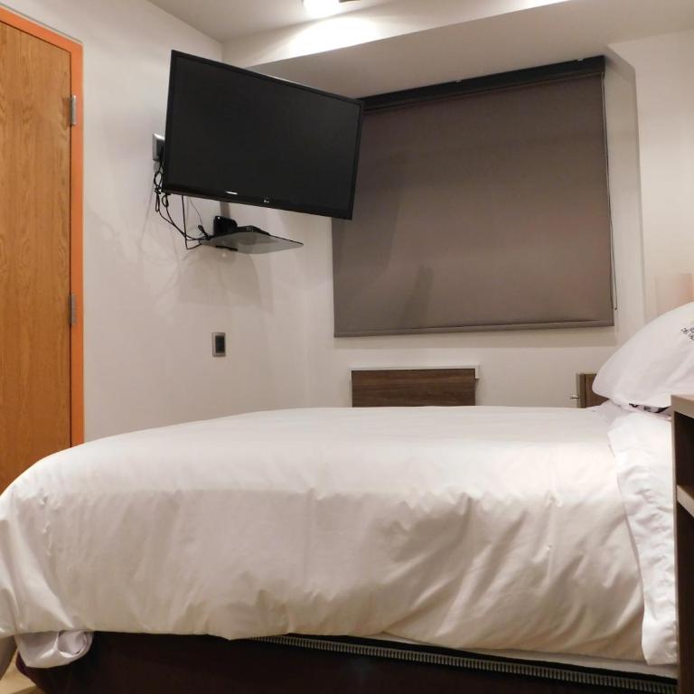 Suites del Valle - Suite Junior - 14