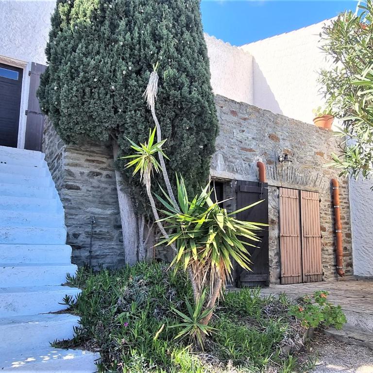Villa F4 Méditerranéenne avec Accès Direct Crique et Parking - FR-1-309-293 - Villa de 3 dormitorios - 2