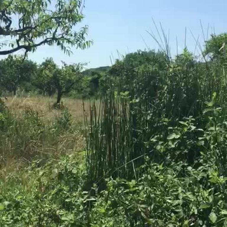 MEDINA - Dvokrevetna Soba sa Bračnim Krevetom - 19