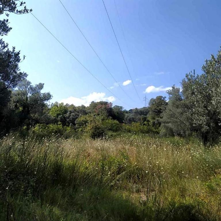 MEDINA - Dvokrevetna Soba sa Bračnim Krevetom - 20
