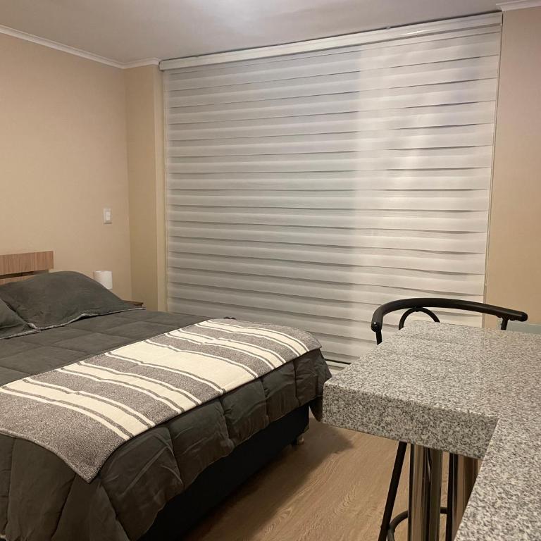 Departamento Nuevo Centro Osorno - Deluxe One-Bedroom Apartment with City View - 16