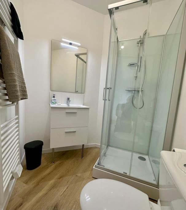 maison 22 couchages prox gare et centre Max 10 chambres - Maison de Vacances - 29