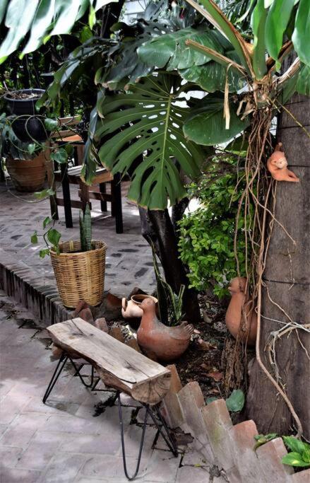 The Roots Flat Oaxaca Centro - One-Bedroom Apartment - 34