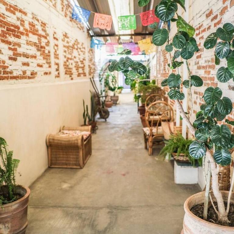 The Roots Flat Oaxaca Centro - One-Bedroom Apartment - 32