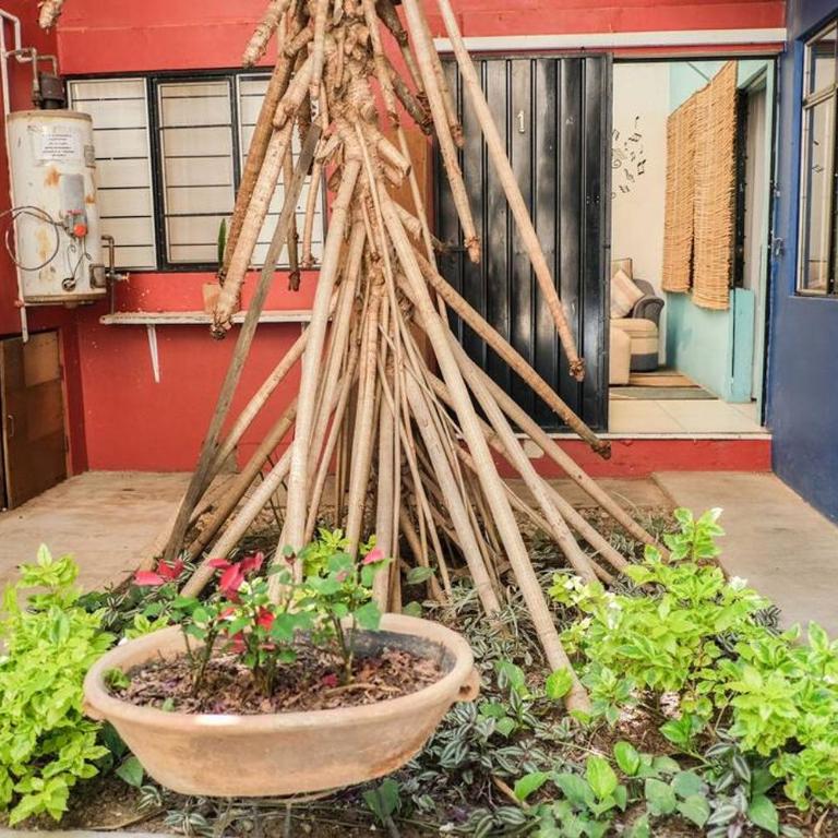 The Roots Flat Oaxaca Centro - One-Bedroom Apartment - 10