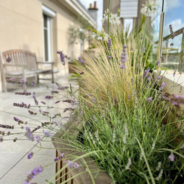 L'Isly, Dernier étage en centre de Rennes avec terrasse de 50m2 - Appartamento Premium con 3 Camere da Letto - 12