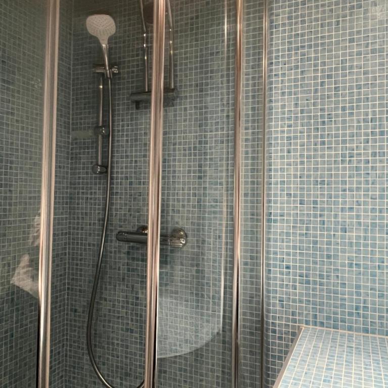 Appartement 32m2 , quartier du Vieil Alpe - Appartement 1 Chambre - 15