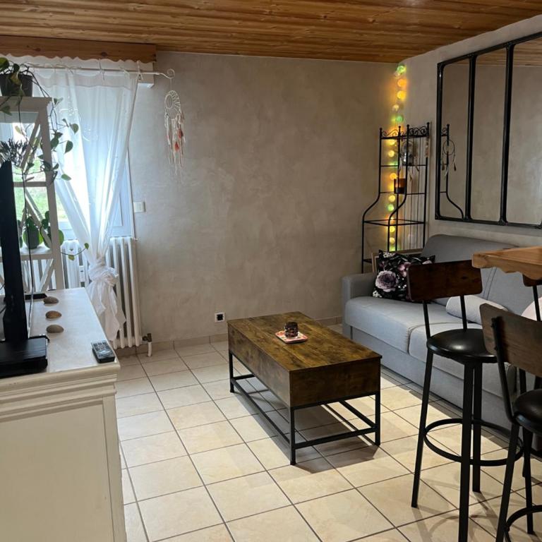Appartement 32m2 , quartier du Vieil Alpe - Appartement 1 Chambre - 5