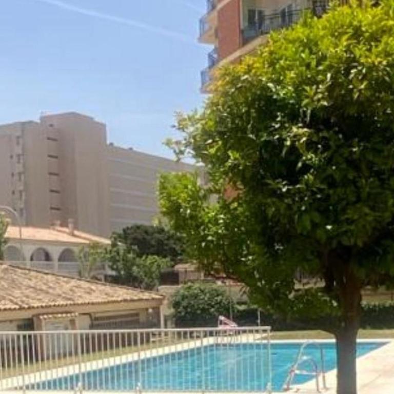 Apartamento Erisa 1 - Apartamento de 2 dormitorios - 10