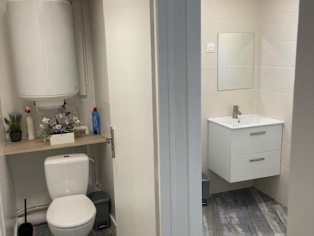 Appartement Agility proche LDLC Arena Stade Groupama Lyon Eurexpo - Appartement 2 Chambres - 2