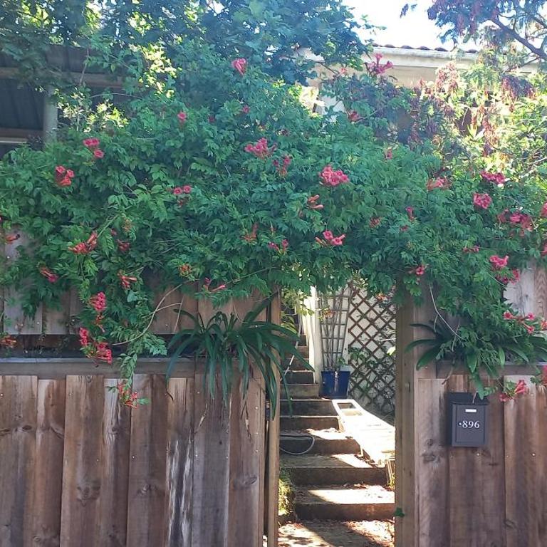 Maison du Lac avec plage privée - Maison 2 Chambres - 34