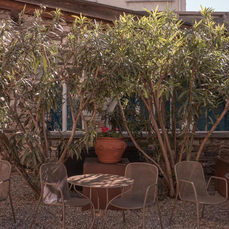 B&B CCAA Ascona - Appartamentino su 2 Livelli - 15