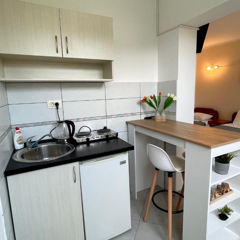 Apartments SoleMar2 - Studio Apartman - 6