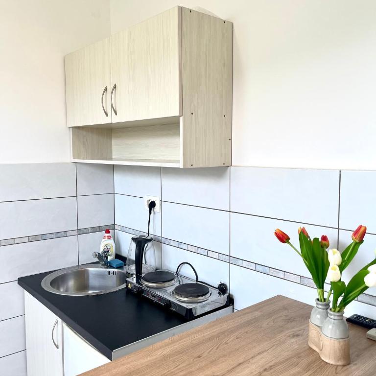 Apartments SoleMar2 - Studio Apartman - 3