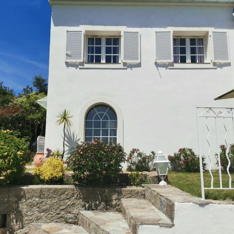 Villa Via serena - Appartamento con 1 Camera da Letto - 6