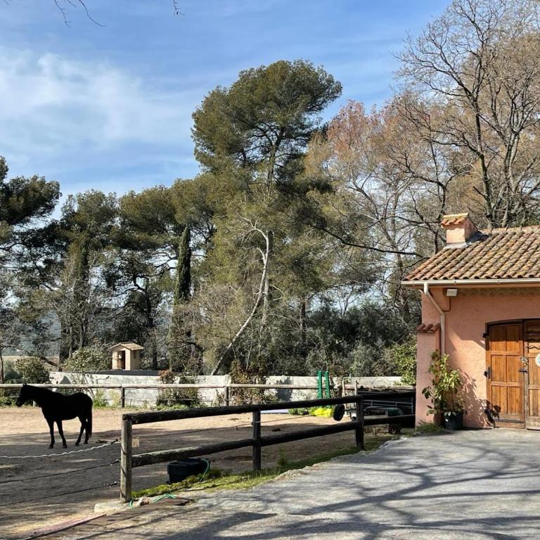 Résidence de charme à Grasse - Ferienhaus - 13