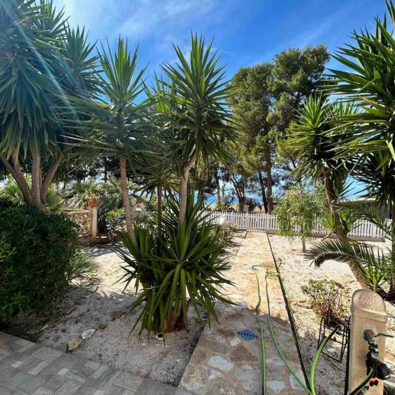 L'oasi Una Pineta Sul Mare - Camera Matrimoniale con Vista Mare - 18
