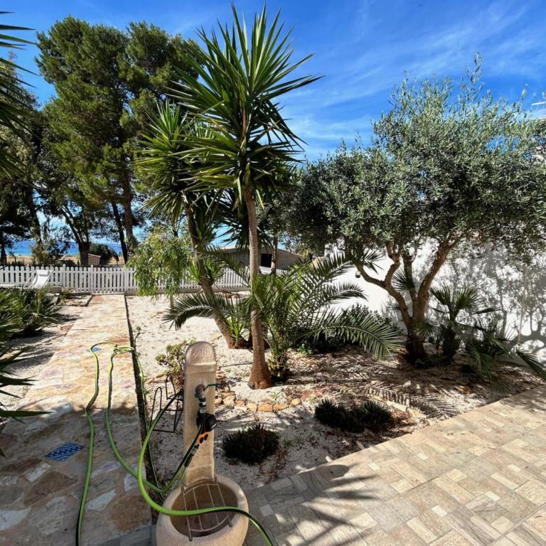 L'oasi Una Pineta Sul Mare - Suite con Vista Mare - 23