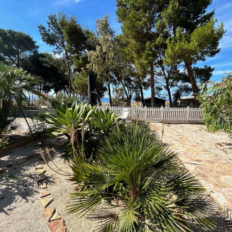 L'oasi Una Pineta Sul Mare - Camera Matrimoniale con Vista Mare - 19