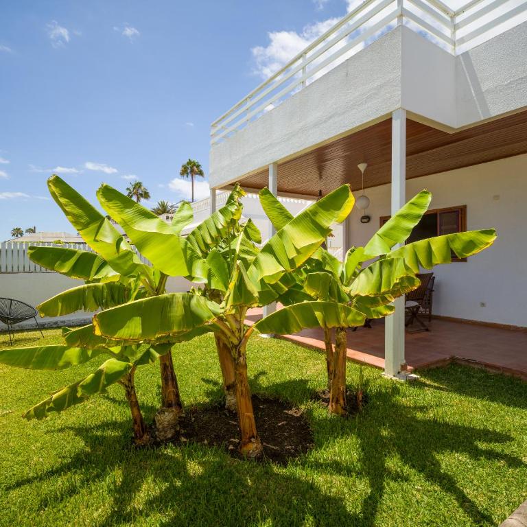 Banana House in Top Location by CanaryScape - Three-Bedroom House - 37