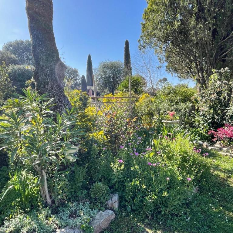 Résidence de charme à Grasse - Ferienhaus - 17