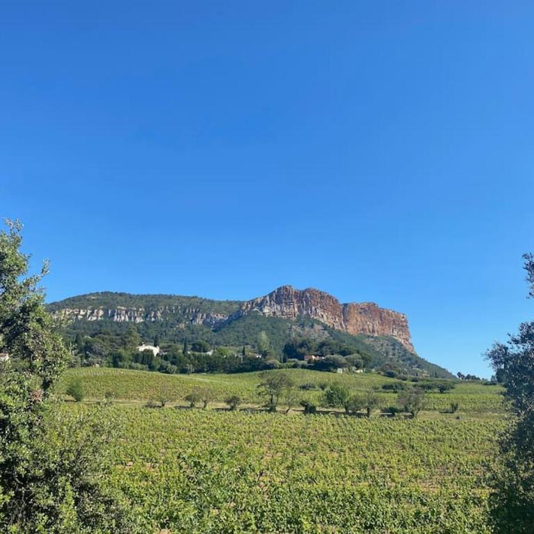 Cassis Villa - Pool - Panoramic View - Villa - 8