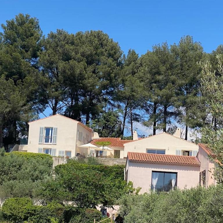 Cassis Villa - Pool - Panoramic View - Villa - 29