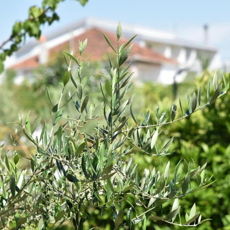 KenDar Premium Apartments - Apartman sa 2 Spavaće Sobe - 52