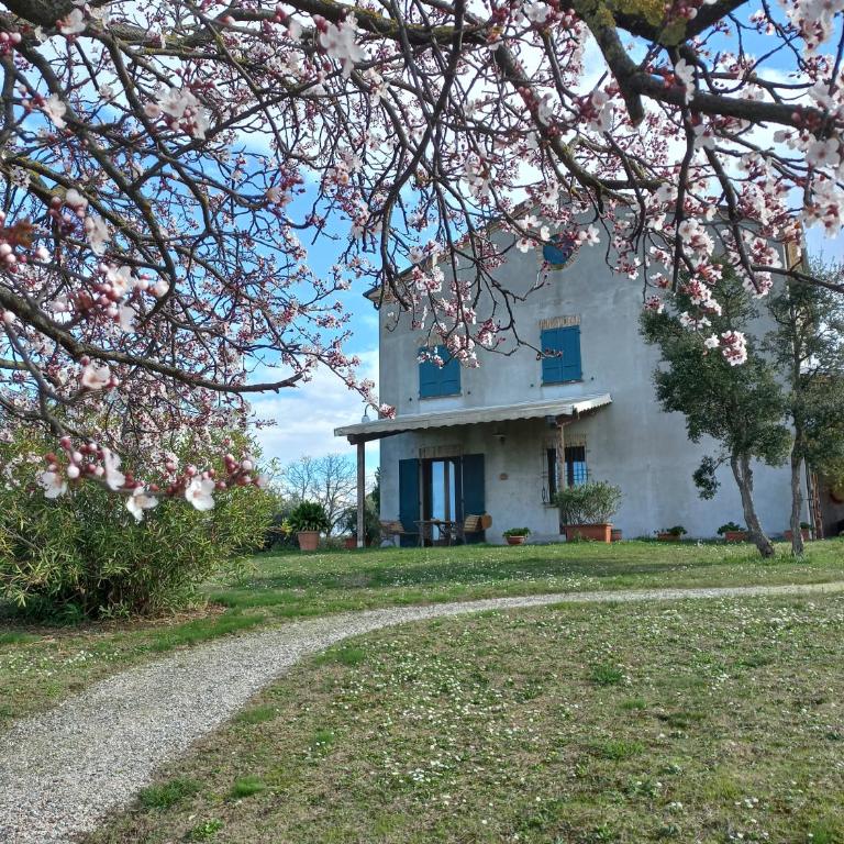 Ettaro Verde studio apartment for holidays - One-Bedroom Apartment - 3