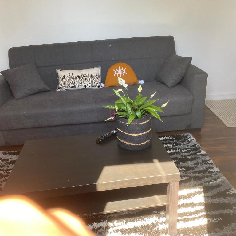 Haut de jardin dans une maison - Appartement 1 Chambre - 12