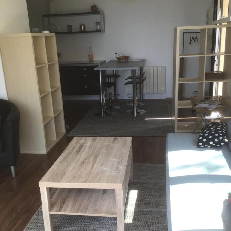 Appartement avec vue sur le lac du Bourget - Appartement 2 Chambres - 11