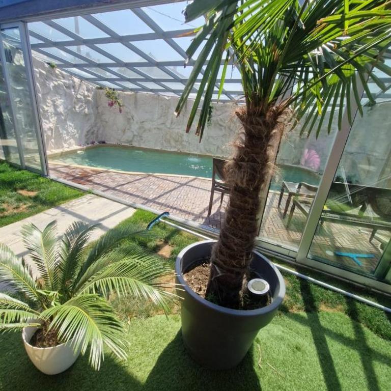 House by Avala with indoor pool - Vila sa 1 Spavaćom Sobom - 9