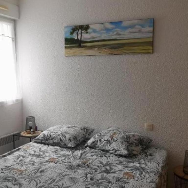 Rêve de Bisca Appartement spacieux climatisé avec jardin privatif piscine et parking privés - Appartement 1 Chambre - 10