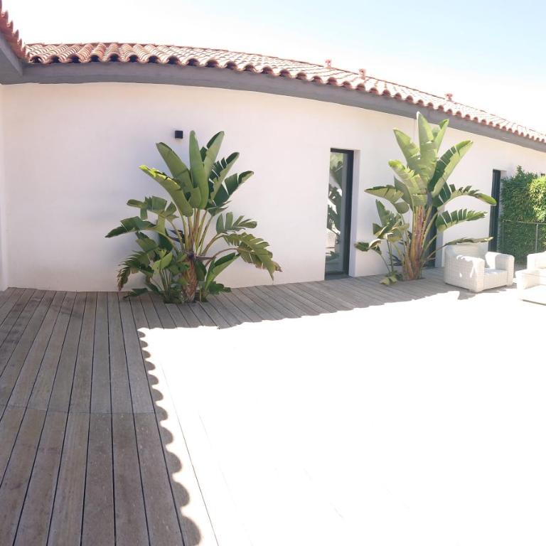 Villa Cassis Vue mer et vignes - Villa - 53