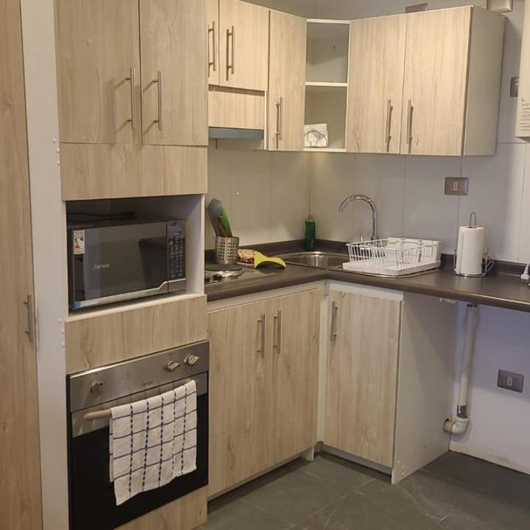 Apart Hotel Altos del Molino Valdivia con estacionamiento - Apartamento de 2 dormitorios - 14