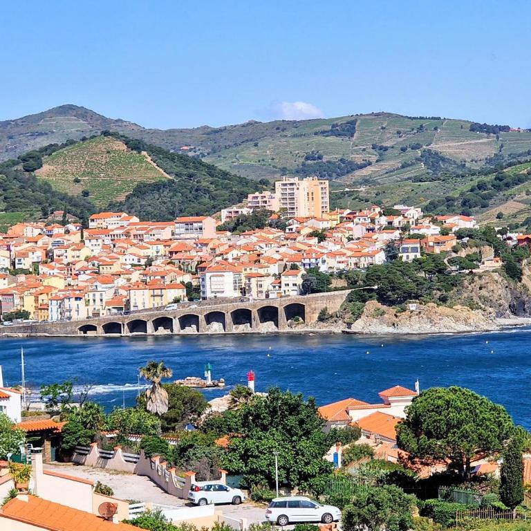 Appartement T2 à Banyuls-sur-Mer avec Wifi et Parking - FR-1-309-30 - Apartment mit 1 Schlafzimmer - 1