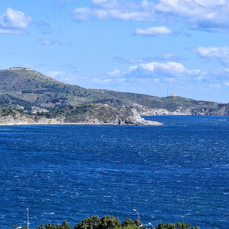 Appartement T2 à Banyuls-sur-Mer avec Wifi et Parking - FR-1-309-30 - Apartment mit 1 Schlafzimmer - 2