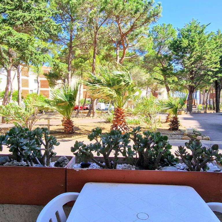 Banyuls: T3 avec Terrasse, Parking, 6 Pers. - FR-1-309-295 - Apartment mit 2 Schlafzimmern - 5