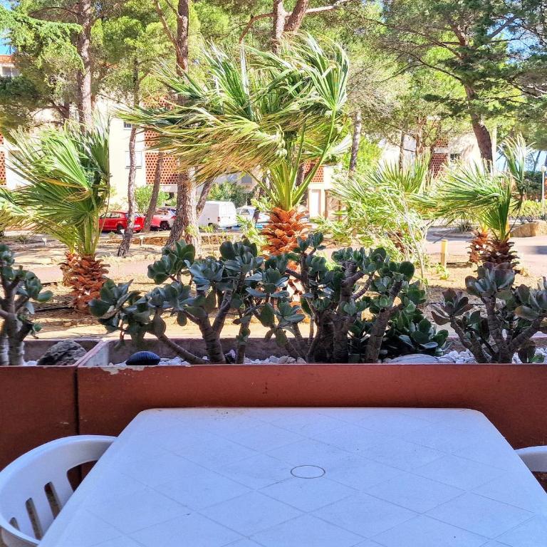 Banyuls: T3 avec Terrasse, Parking, 6 Pers. - FR-1-309-295 - Apartment mit 2 Schlafzimmern - 11