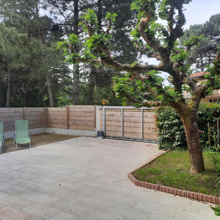 Villa confortable à Seignosse : plage, commerces et piste cyclable à proximité - FR-1-239-771 - Haus mit 2 Schlafzimmern - 9